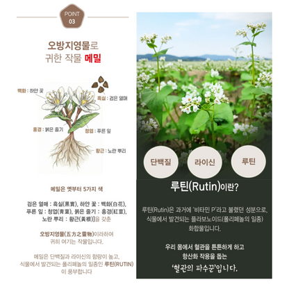 [Bongpyeongchon] Buckwheat Makguksu Noodles (Medium), 800g - Low GI,
