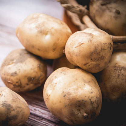 [Nchoice] Potato Starch 1kg - For Cooking/Baking