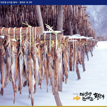 [대관령 눈마을]황태포 3미 - 강원 대관령 자연 건조